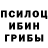 Галлюциногенные грибы прущие грибы Anton Fartunov