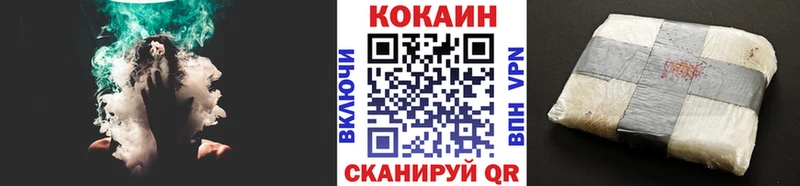 Кокаин Fish Scale  MEGA ССЫЛКА  Анива 