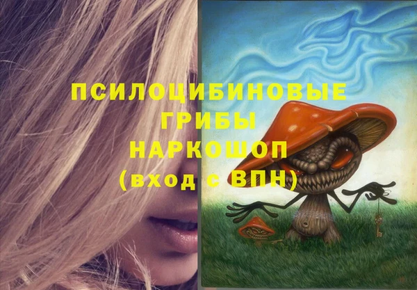 молекула духа Пестово