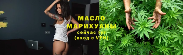 молекула духа Пестово