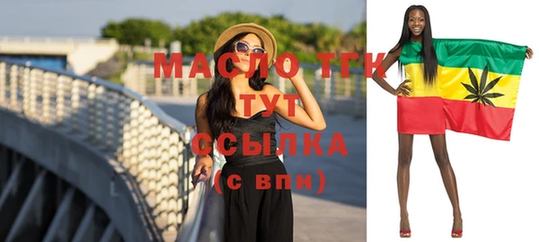 молекула духа Пестово