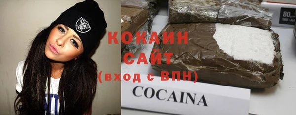 прущие грибы Покровск