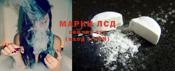 прущие грибы Покровск
